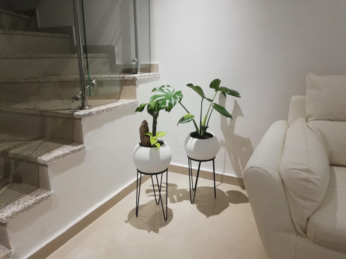 MaterPlant blanco, instalación en casa de cliente