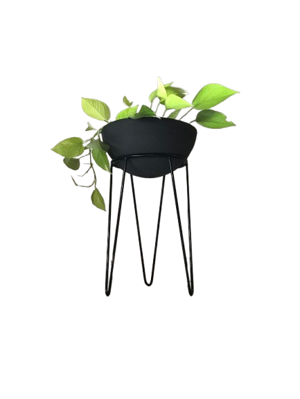 MaterPlant tazón, acabado gris oscuro