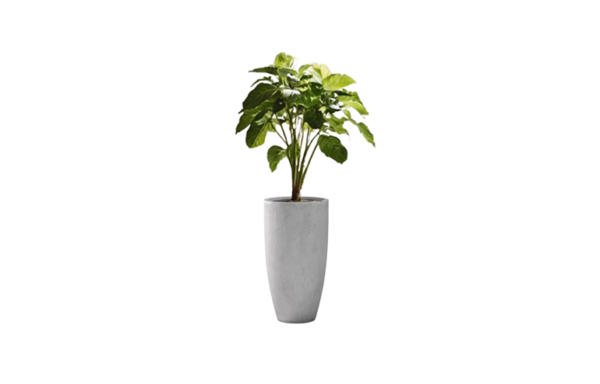 Garden Pot HC1 X 2