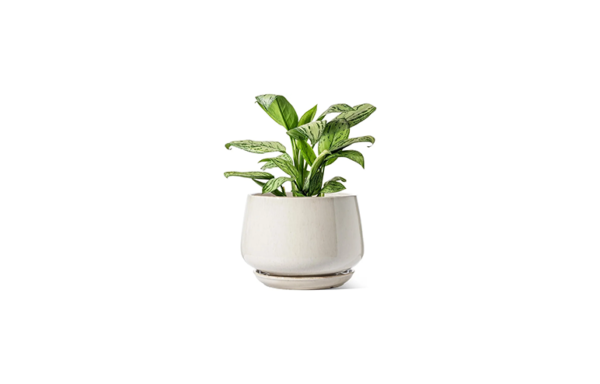 Garden Pot C2M