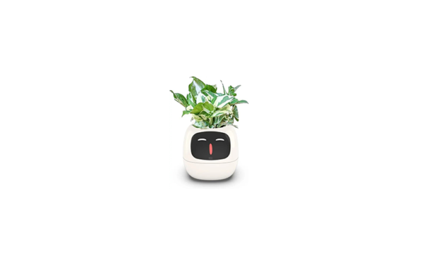 Ai Pot Planter